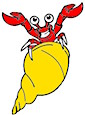 Happy Hermit Crab